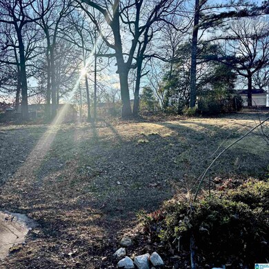 1017 Grand Oaks Cir unit 14, Fairfield, AL 35064 - photo 4