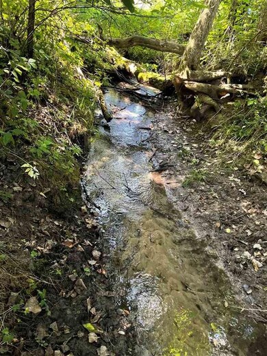 14.14 ac Smock Valley Rd, Browntown, WI 53522 - photo 2