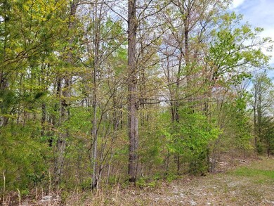bluff view 4