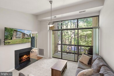11557 Rolling Green Ct unit 300, Reston, VA 20191 - photo 5