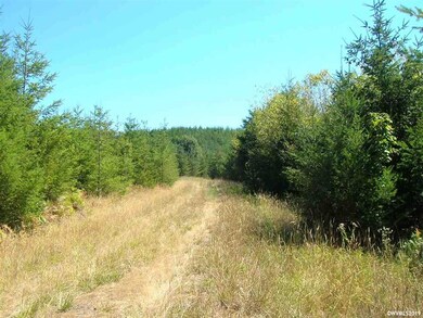 0 Mollenhour (#1) Rd unit 754450, Scappoose, OR 97056 - photo 3