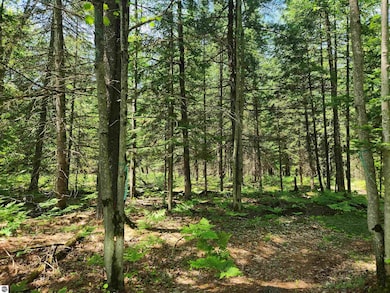 2867 Folks Rd NE, Kalkaska Township, MI 49646 - photo 7