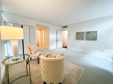 Wellesley Green Condominiums unit 146, Wellesley, MA 02482 - photo 7