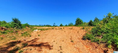 0 Laska Dr unit 20 acres 21420427, Wedowee, AL 36278 - photo 5