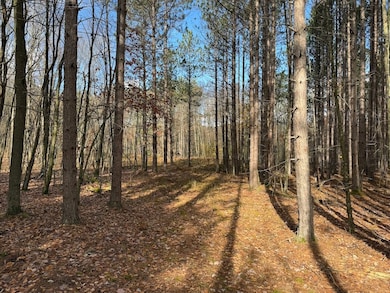 00 Carnes School Rd Lot unit WP001, Cranberry, PA 16319 - photo 4