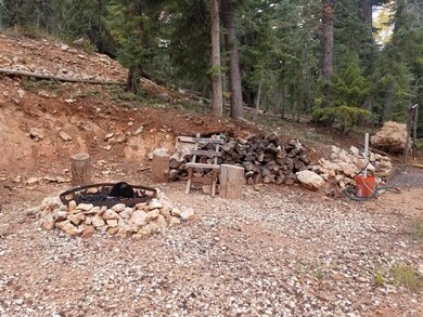 1555 Strawberry Point Rd, Duck Creek Village, UT 84762 - photo 4