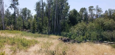 2 S Apple Way, Winthrop, WA 98862 - photo 3