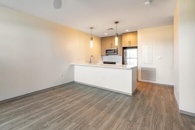 75 Braintree St unit 212, Allston, MA 02134 - photo 5