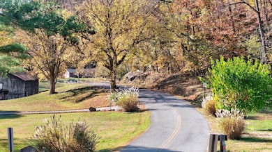 0 Rock House Hollow Rd unit LotWP001, Westmoreland, TN 37186 - photo 4