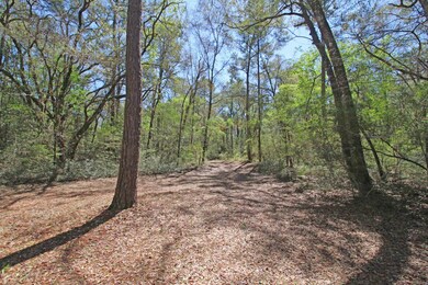 126 Nine Gables Ln, Crawfordville, FL 32327 - photo 4