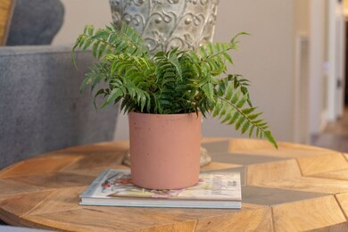 262 Forrestwood Dr, Manchester, TN 37355 - photo 7