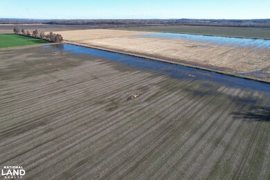 001 Il Route 3, Olive Branch, IL 62969 - photo 4