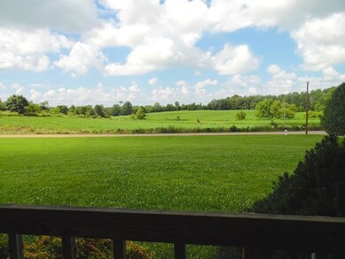 view from front deck