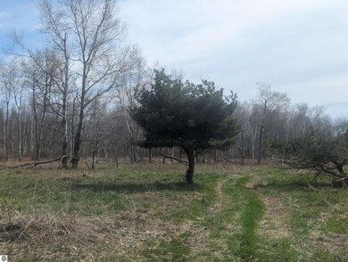 N/A Turner Rd, Tawas City, MI 48763 - photo 4