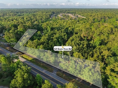 52 Gumtree Rd, Hilton Head Island, SC 29926 - photo 5