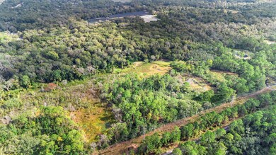 0 King St, Deland, FL 32720 - photo 5