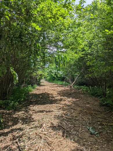 Off W Salisbury Rd unit 7, Salisbury, NH 03268 - photo 4