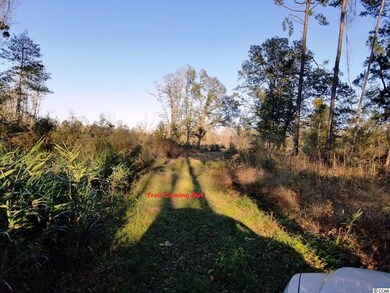 0 S Carolina 410, Aynor, SC 29511 - photo 7