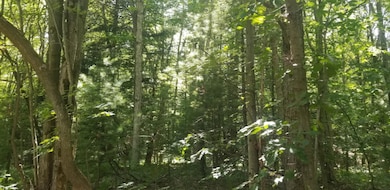 116717189_234289844310580_33283817413247