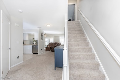 7709 Brandywine Creek Dr, Northfield, OH 44067 - photo 5