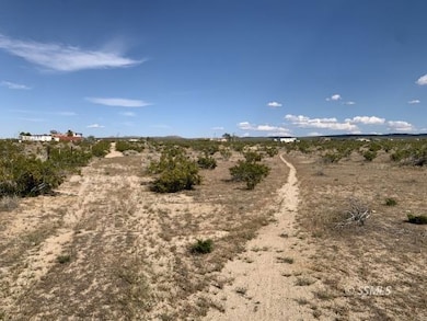 343-133-13 S Gateway Blvd, Ridgecrest, CA 93555 - photo 5