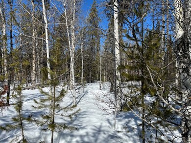 Timbered Lot With Aspen Grove