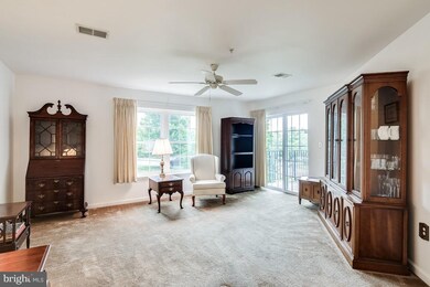 6500 Ridenour Way E unit 2A, Sykesville, MD 21784 - photo 6