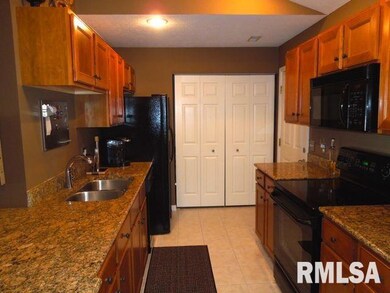 4511 N Thornhill Dr unit 204C, Peoria, IL 61615 - photo 4