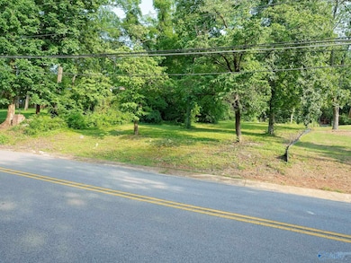 1602 Big Cove Rd, Huntsville, AL 35801 - photo 3