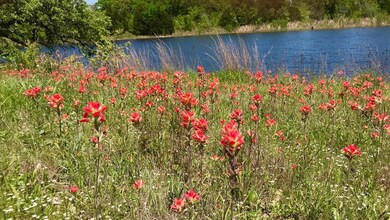 1030 Stagecoach Ranch Dr, Weatherford, TX 76085 - photo 6