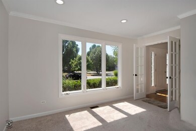 2655 Freeland Cir unit 4, Naperville, IL 60564 - photo 7