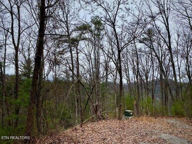 0 Oliver James Way unit 1278736, Sevierville, TN 37862 - photo 7