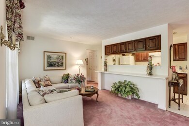 3321 Katewood Ct unit 1, Baltimore, MD 21209 - photo 7