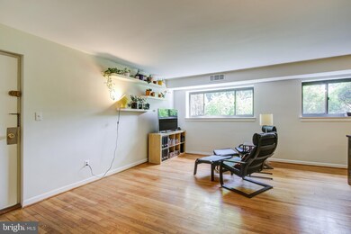 407 Tulip Ave unit 101, Takoma Park, MD 20912 - photo 5