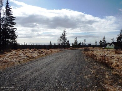 South Property Line