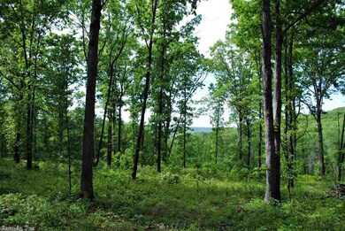 12641 Oak Grove Rd, Winslow, AR 72959 - photo 4