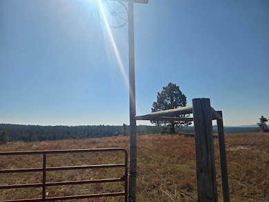 11815 W Argyle Rd, Custer, SD 57730 - photo 2