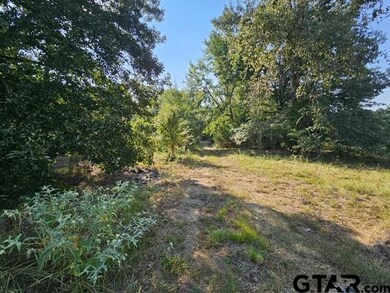 223 An County Road 4250, Palestine, TX 75803 - photo 7