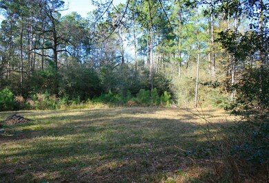 Lot 11 Silver Elm Place, Magnolia, TX 77355 - photo 4