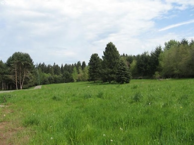 10650 SE Twolors Ln, Boring, OR 97009 - photo 4