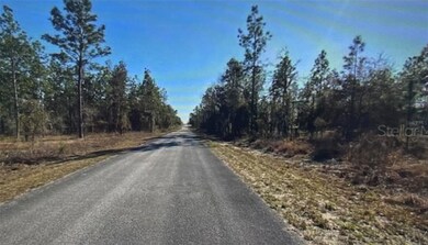 Lot 27 SW Harbour Hills Rd, Dunnellon, FL 34431 - photo 5