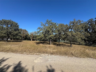4004 Missouri Trail, Granbury, TX 76048 - photo 2