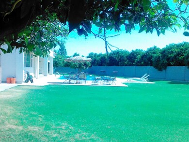 BEAUTIFUL BACKYARD
