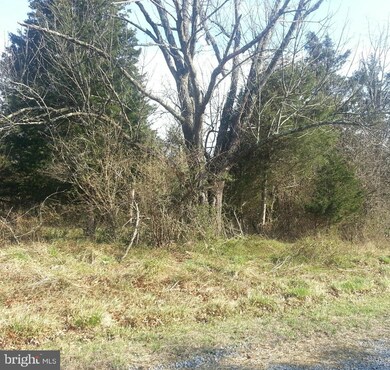 0 Karen Ryan Way unit WVBE185834, Bunker Hill, WV 25413 - photo 3