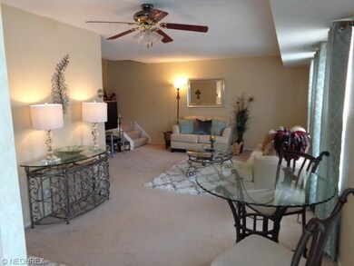 Dining Room/Living Room Combo