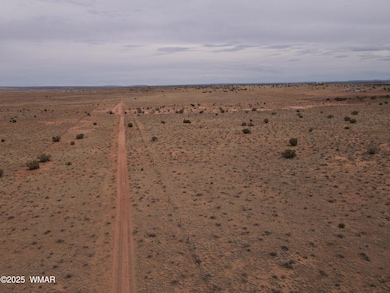 dji_fly_20250728_135558_859_175373617381