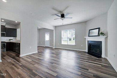 1107 Tigerlily Way, Durham, NC 27703 - photo 4