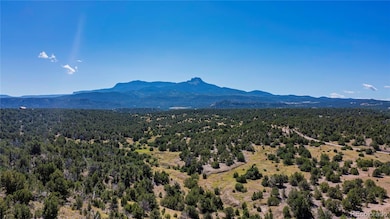 13700 Corundum Rd, Trinidad, CO 81082 - photo 2