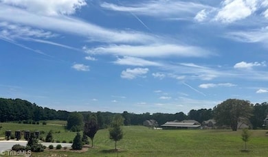 7731 Maple Pond Dr, Oak Ridge, NC 27310 - photo 3