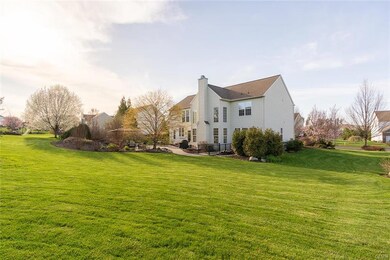 Beautiful back yard